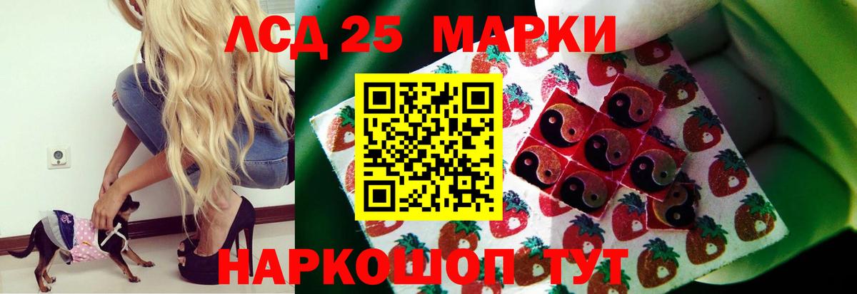 Лсд 25 экстази ecstasy  Лсд 25 экстази  Новый Уренгой  Лсд 25 экстази кислота  Вход с VPN 