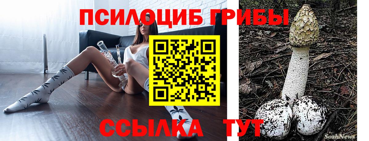 Псилоцибиновые грибы Magic Shrooms Новый Уренгой