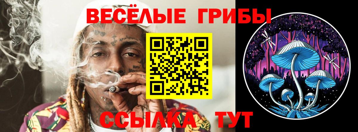 Галлюциногенные грибы Psilocybe  Вход с VPN  Псилоцибиновые грибы Psilocybe  Новый Уренгой 